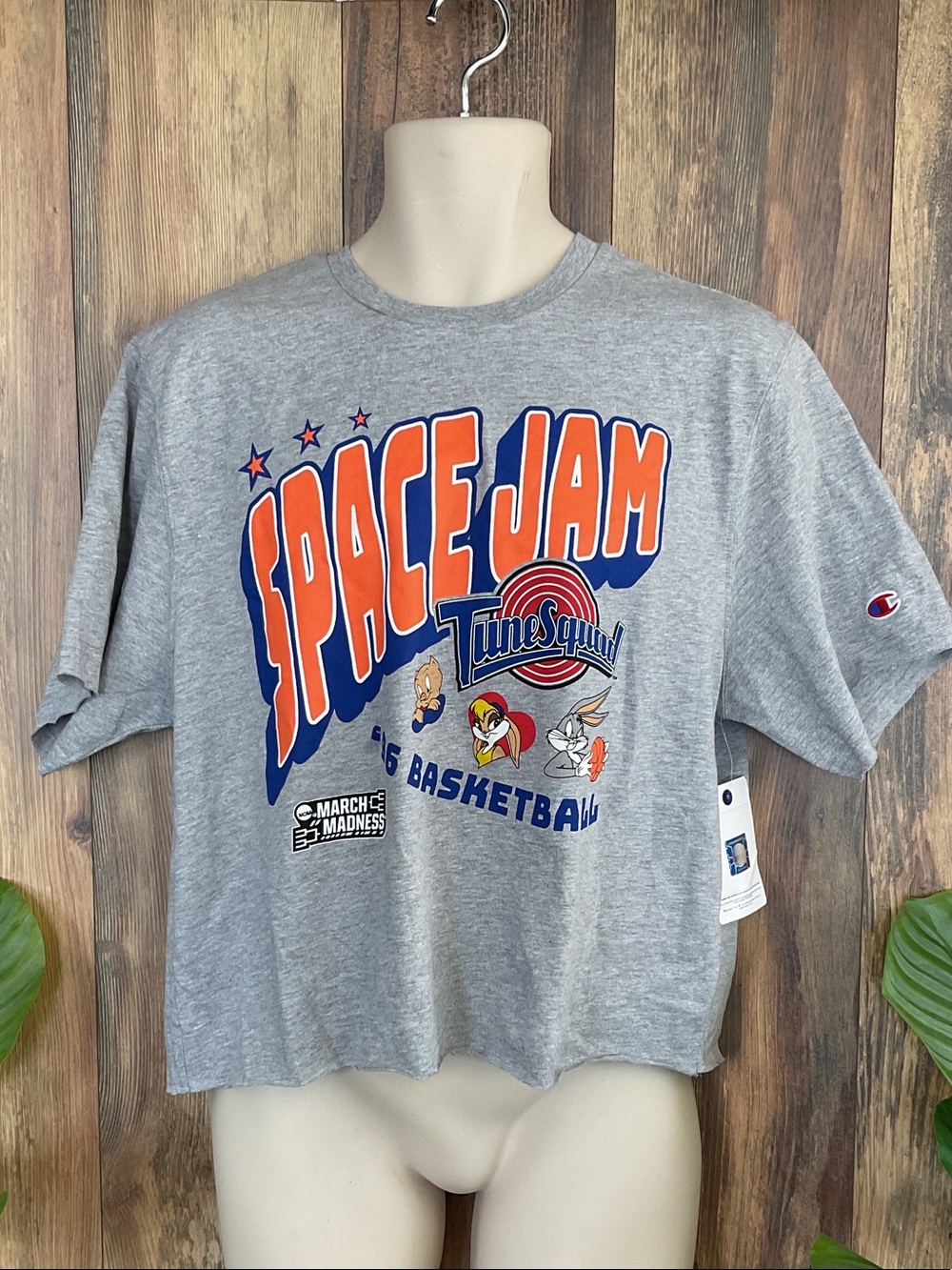 Champion Space Jam Tune Squad Graphic 30th Anniversary Crop Tee *Lots available!